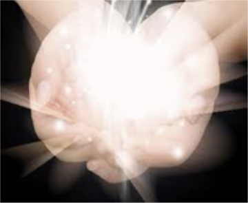 salt and light international